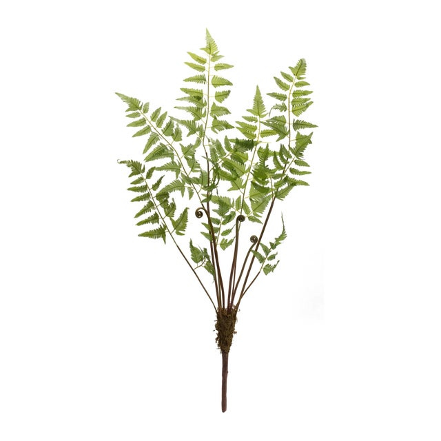 Rustic Varigated Fern Bundle with Sprout Accents (Set of 6) For Sale - Image 3 of 3