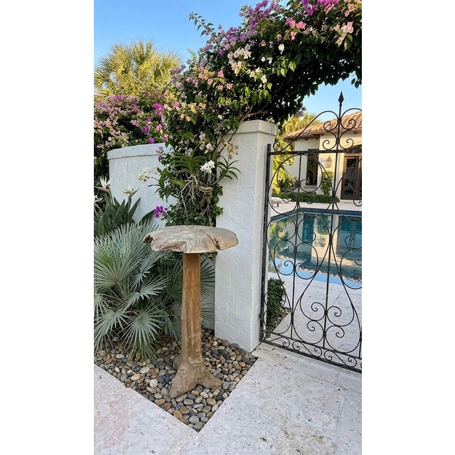 Mid-Century Hand-Carved Bleached Wood Mushroom Garden Sculpture For Sale - Image 10 of 12