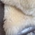 Interiors Genuine Sheepskin Rug For Sale - Image 9 of 12
