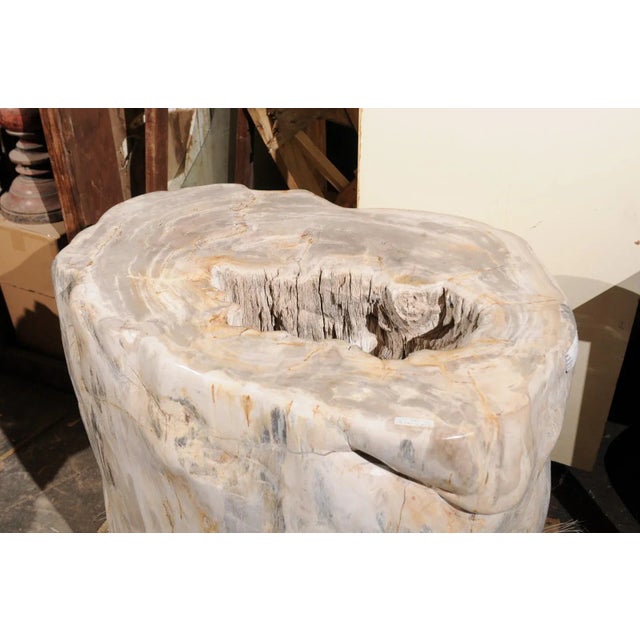 Wood Large Petrified Wood Table Base For Sale - Image 7 of 12