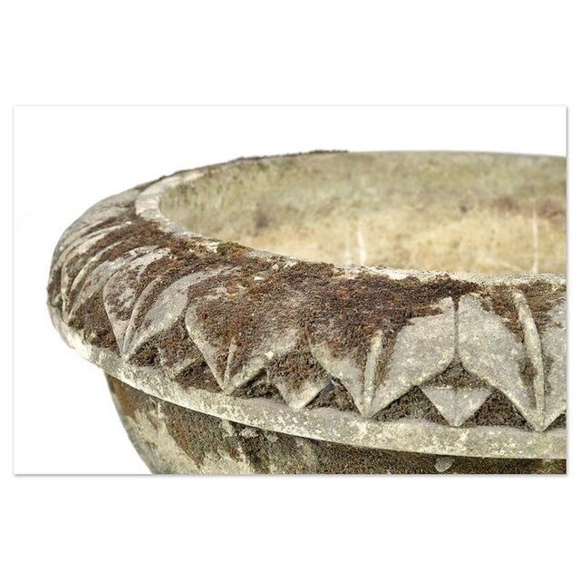 Large Carved Stone Basin For Sale - Image 6 of 7