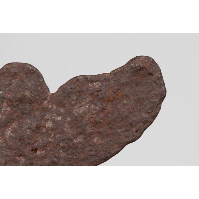 Modern Abstract Plant Sculpture from Theo Niermeijer, 1970s For Sale - Image 4 of 15