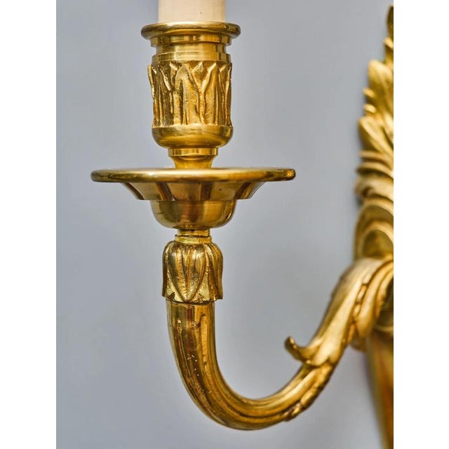 Neoclassical Wall Lamp in Cast Brass For Sale - Image 4 of 9
