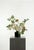 A soft, garden-inspired composition of cream peony, white tulips, and delicate Queen Anne’s lace. Fresh greenery adds...