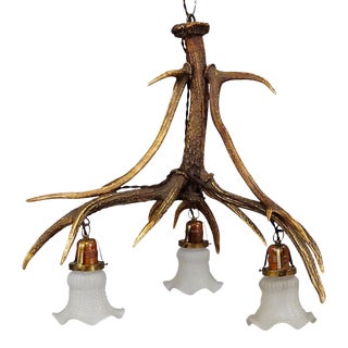Antique Black Forest Ceiling Lamp With Deer Antlers For Sale