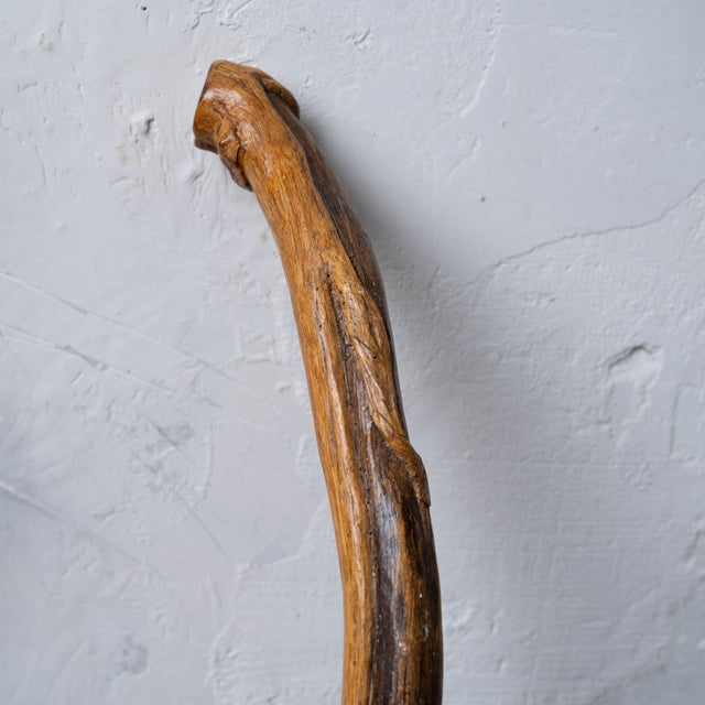 Vernon Edwards Walking Stick, 1980s For Sale - Image 13 of 18
