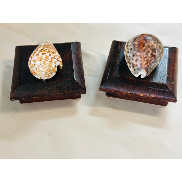 These small boxes are charming with their vintage patina. Each has a lovely shell adorning the top.