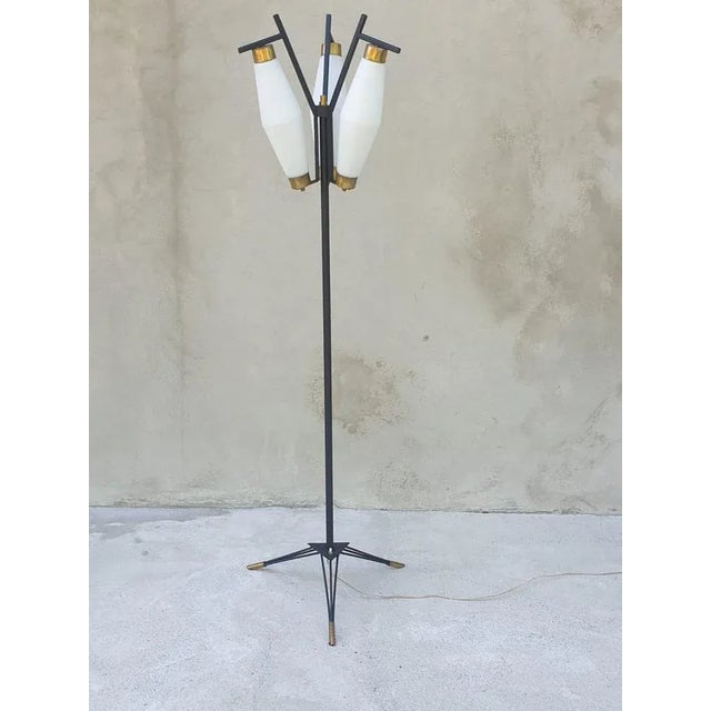 Black Italian Floor Lamp from Stilnovo, 1950s For Sale - Image 8 of 8