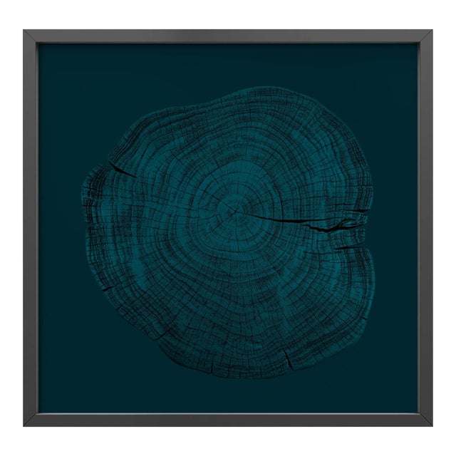Stump 1 - Variation 15 by Trinette + Chris Print with Black Frame - 24 X 24 For Sale