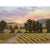 Sheryl Knight California Vineyard oil painting. This Sheryl Knight painting comes framed as shown. Dimensions 21"H X 30"W...