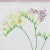 Mid 20th Century Vintage Hand-Painted Plant Specimen Watercolor Freesia Flower (With Frame). Signed in the Lower Right Corner For Sale - Image 5 of 9