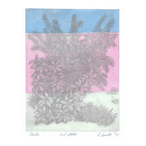 1978 Garden Color Etching by Smith
