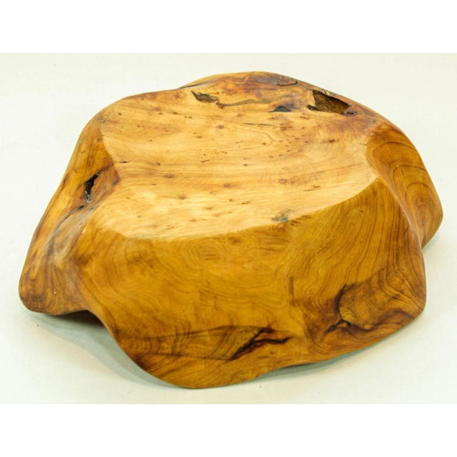 Organic Teak Burl Wood Bowl Natural Free Form Live Edge Sculptural Root Vessel For Sale - Image 10 of 12