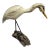 1989 Wood Bird Shore Bird Carving on Driftwood, Signed Corwin For Sale