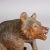 Antique Wooden Sitting Bear Handcarved Ca. 1920s, Brienz For Sale - Image 6 of 7