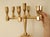 Metal Vintage Swedish Brass 7-Arm Candelabra from Gusum For Sale - Image 7 of 18