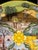 Sculpture Materials Mid-Century Italian Deruta Style Hand-Painted Faience Harvest Charger For Sale - Image 7 of 10