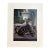 Vintage 1965 Girard Goodenow Cat Print in 16x20 Mat Ready to Frame: Silver Tabby For Sale