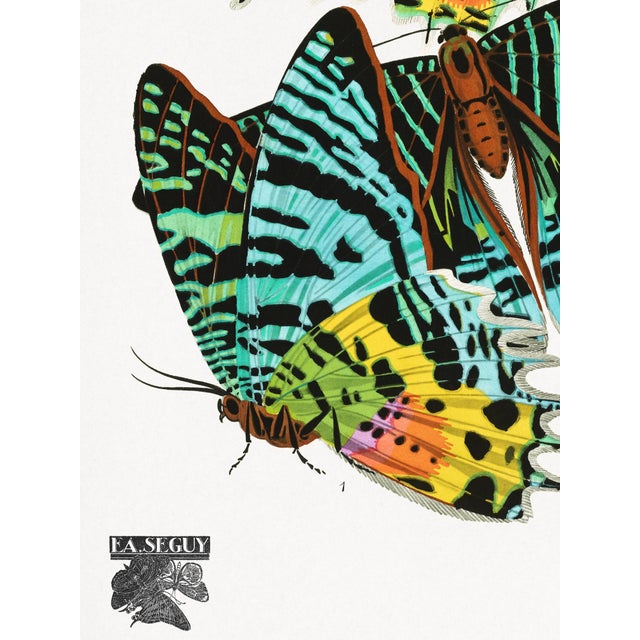 Vintage Butterfly Illustration, Art Deco Insect Print Reproduction, 1925, 18" × 24" For Sale - Image 4 of 6
