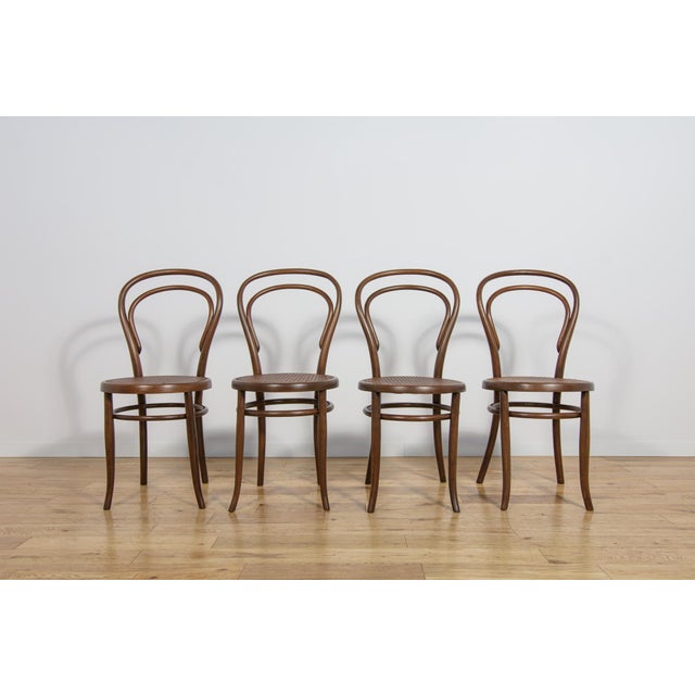 No. 14 Chairs by Michael Thonet for Josef Hoffmann, 1900s, Set of 4 For Sale - Image 3 of 18