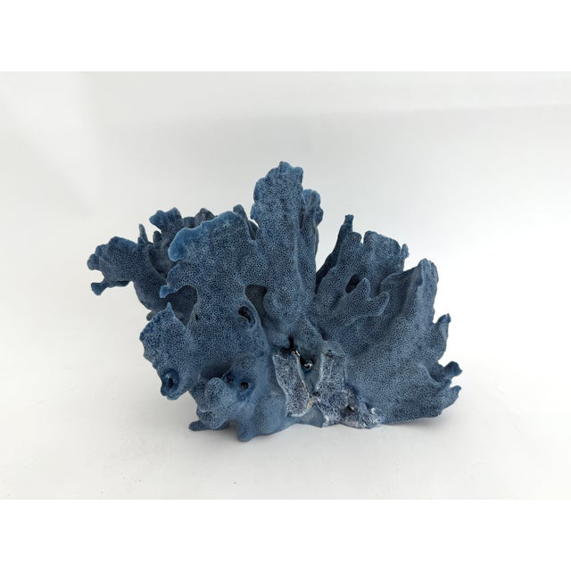 Blue Natural Blue Coral Specimen Coastal Decor For Sale - Image 8 of 8