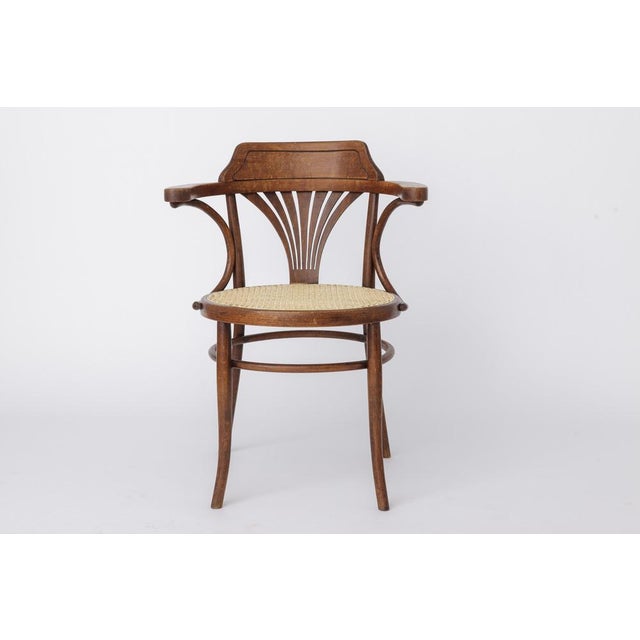 Vintage Bentwood Chair by Fischel, 1940s For Sale - Image 10 of 10