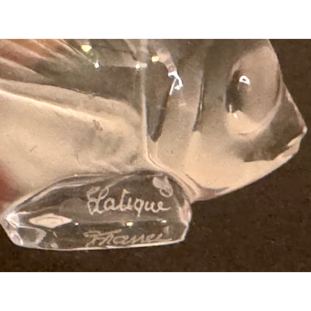 Glass Lalique Clear Crystal Fish Figurine For Sale - Image 7 of 7