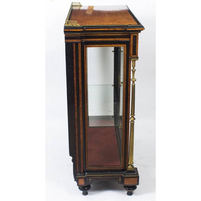 Victorian Amboyna & Ebonized Pier Cabinet For Sale - Image 9 of 11