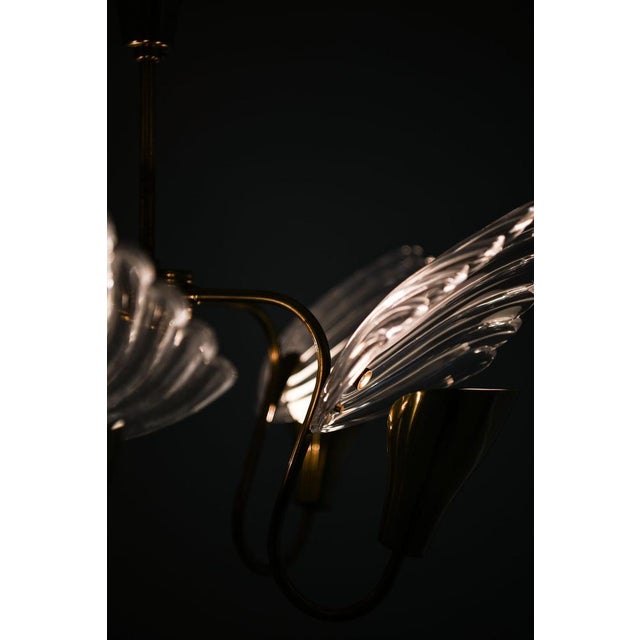 Gold Ceiling Lamp with Five Gracefully Curved Brass Arms attributed to Carl Fagerlund, 1950s For Sale - Image 8 of 12