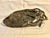 Art Nouveau Bronze Figuraritive Mermaid Tray For Sale - Image 4 of 5