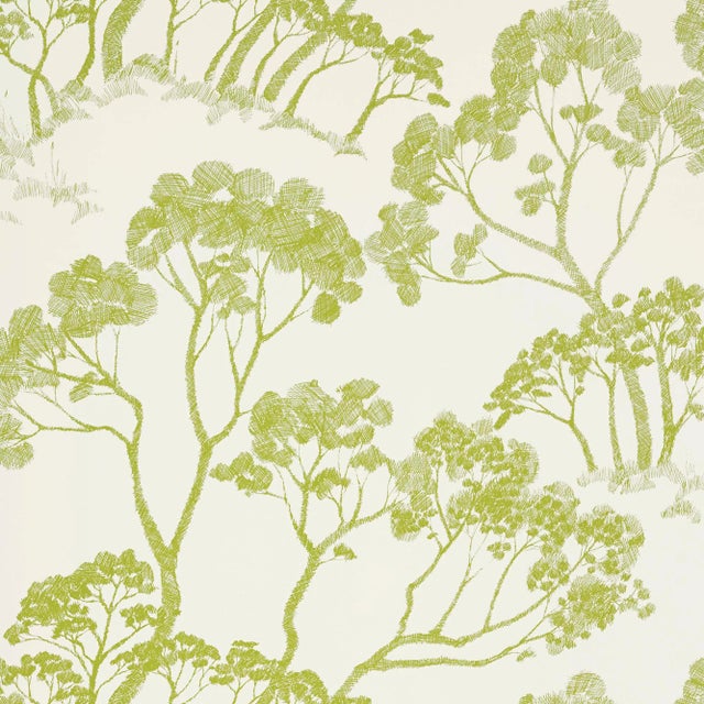 Schumacher Timber Wallpaper in Leaf For Sale