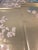 If you love the look of De Gournay wallpaper but not the price, this is for you. Hand‑Painted Champagne Gold Leaf...