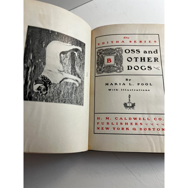 American 1896 Boss and Other Stories Dogs Book For Sale - Image 3 of 6