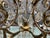 Large Florentine Tole Chandelier with Murano Glass Flowers, Italy, 1950s For Sale - Image 15 of 18