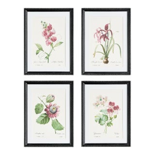 Blush Blooms Study St/4 For Sale