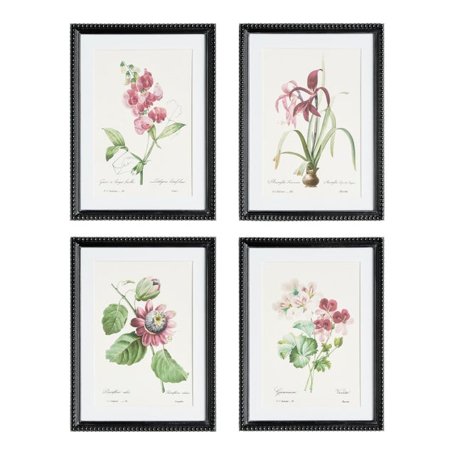 Blush Blooms Study St/4 For Sale