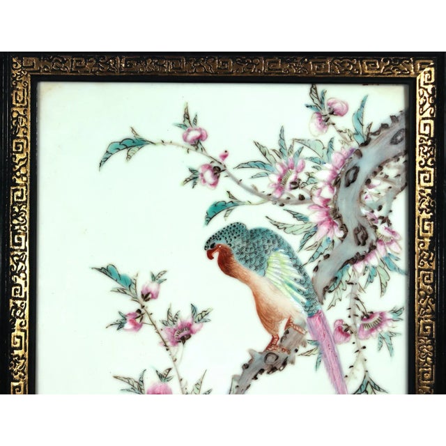Mid 20th Century Chinese Porcelain Framed Famille Rose Plaque of Long Tailed Hawk on a Rose Tree Branch For Sale - Image 5 of 6