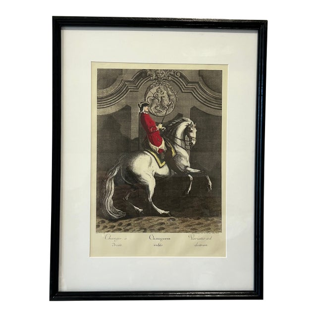 Antique Equestrian Dressage Original Print For Sale