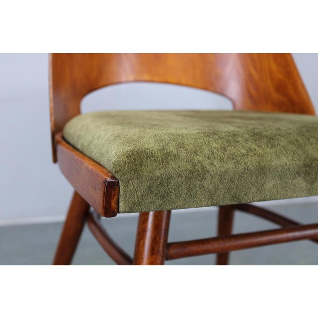 Mid-Century Model Ton 514 Dining Chairs attributed to Osvald Haerdtl for Ton, 1960s, Set of 4 For Sale - Image 10 of 16