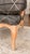 Vintage Louis XV Style Carved Wood Bergère Chair in Black & Cream Geometric Fabric For Sale - Image 16 of 16