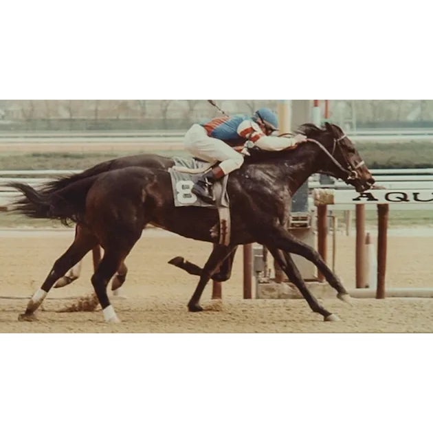 English Aqueduct Park Finish Line Color Photo in Custom Racing Stripe Frame For Sale - Image 3 of 3