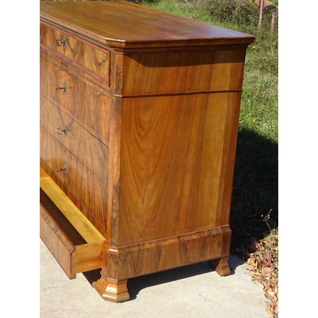 Louis Philippe Walnut Chest of Drawers, 19th Century For Sale - Image 12 of 18