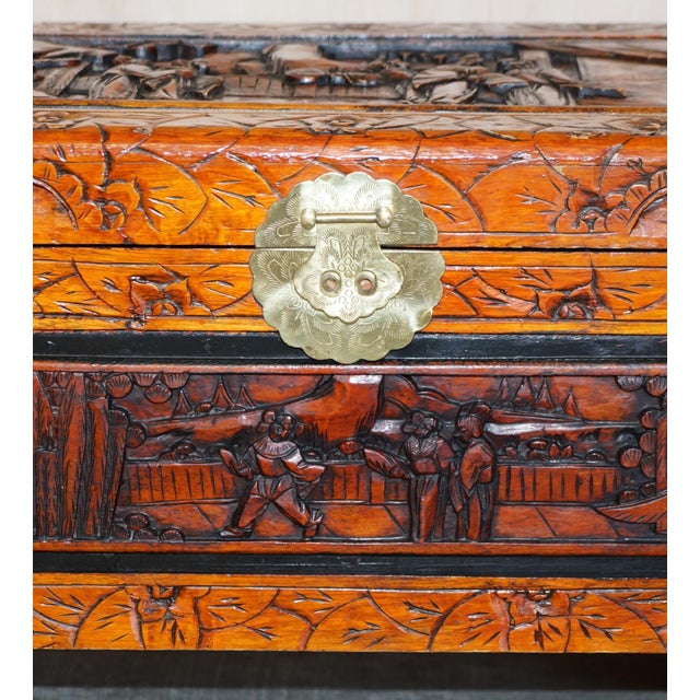 Brown Antique Chinese Hand Carved Camphor Wood Travelling Trunk, 1900s For Sale - Image 8 of 17