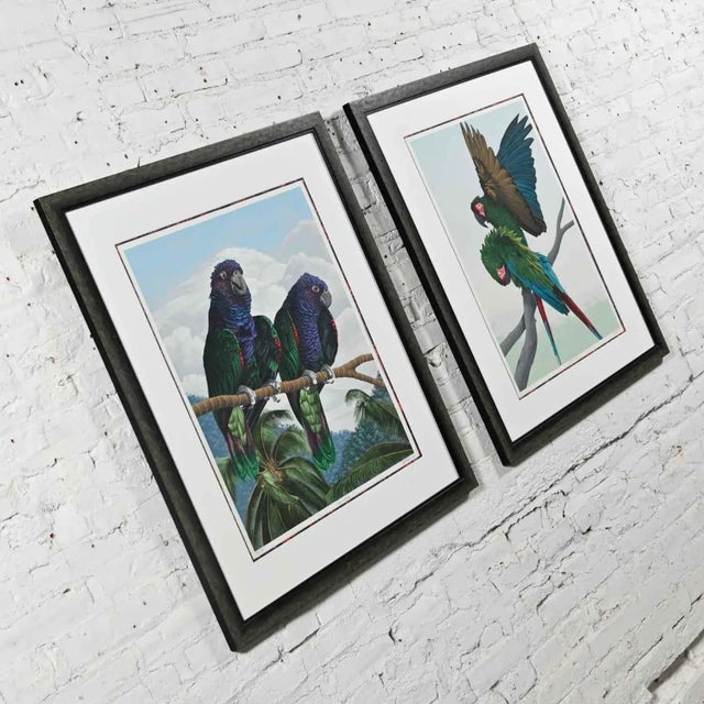Realism Vintage Dallas John Limited Edition Hand Signed Imperial Mates & Military Macaws Fine Art Serigraph Parrots For Sale - Image 3 of 13
