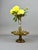 Antique English Victorian Glass, 1800s For Sale - Image 6 of 17