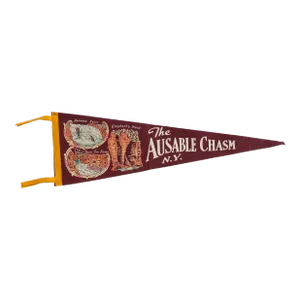 Vintage Ausable Chasm Ny Felt Flag