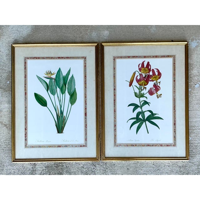 This exquisite pair of large-format botanical prints showcases the legendary artistry of Pierre-Joseph Redouté, often...