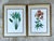 This exquisite pair of large-format botanical prints showcases the legendary artistry of Pierre-Joseph Redouté, often...