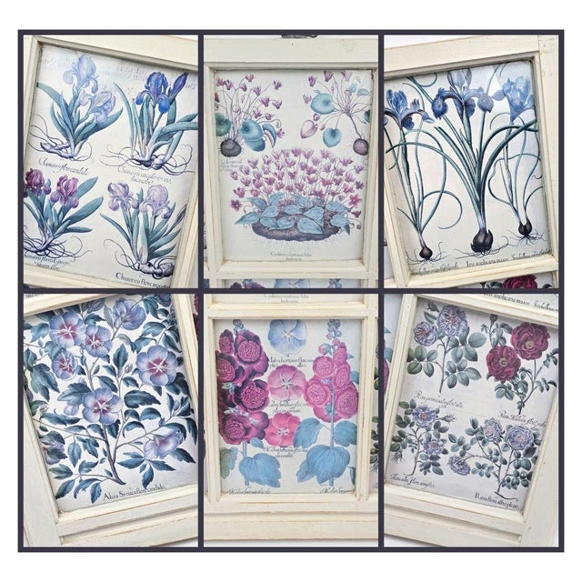 Botanical Prints in Antique Window Frame For Sale - Image 10 of 18