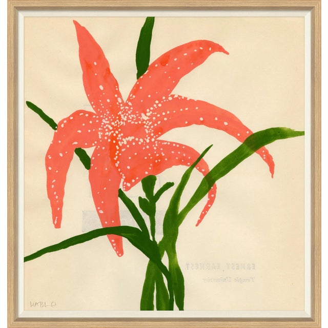 Star Lily Framed Art Print by Susan Hable For Sale